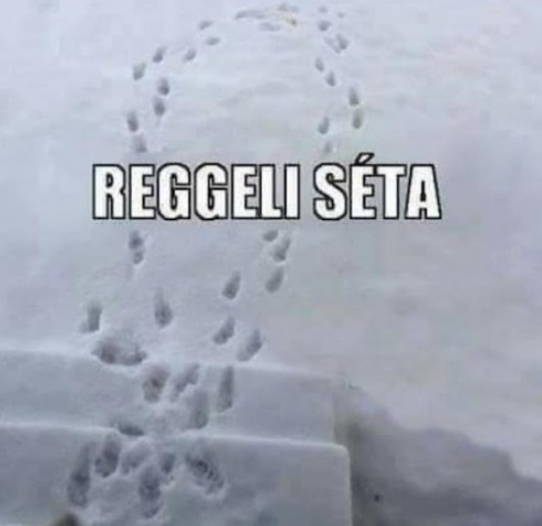 Azt olvastam, hogy napi 20-30 perc intenzív séta már fogyaszt