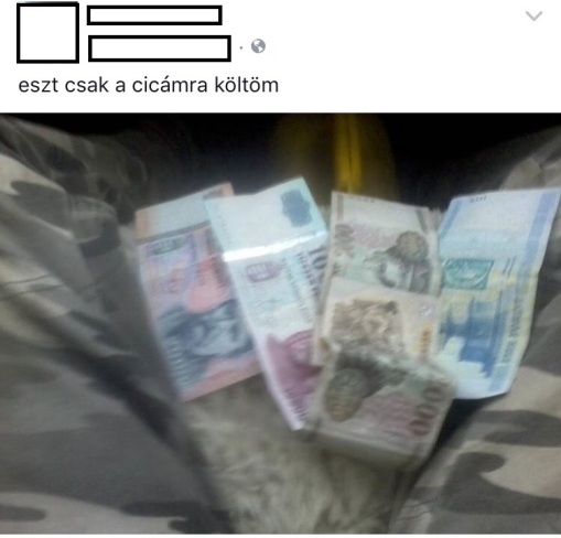 Ezt a cicára...