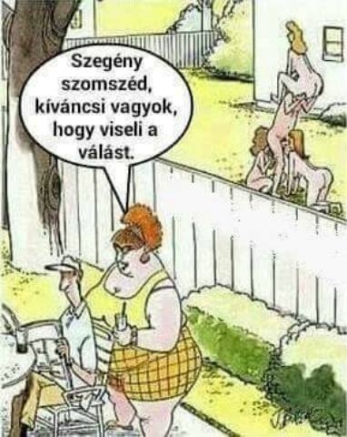 Úgy látom egész jól