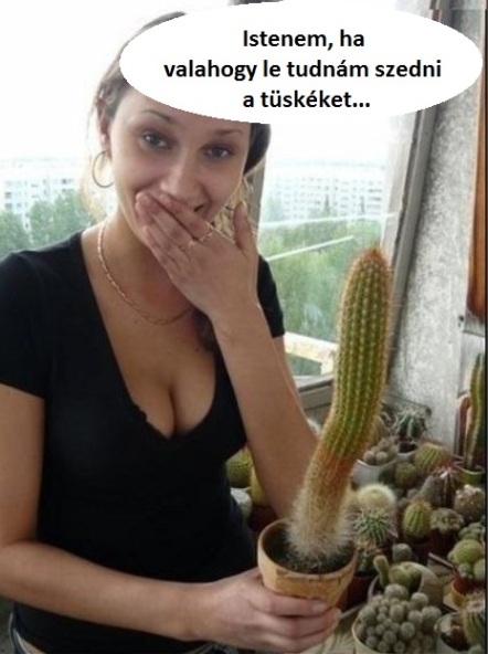 Beindult a fantáziája