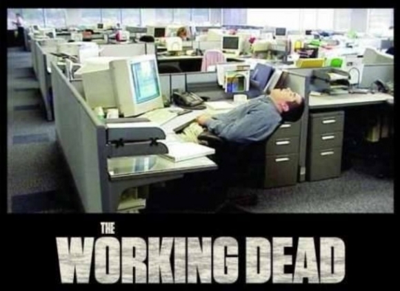 Újra indul a mókuskerék