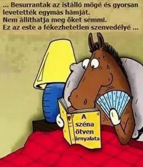 Egy erotikus-romantikus dráma