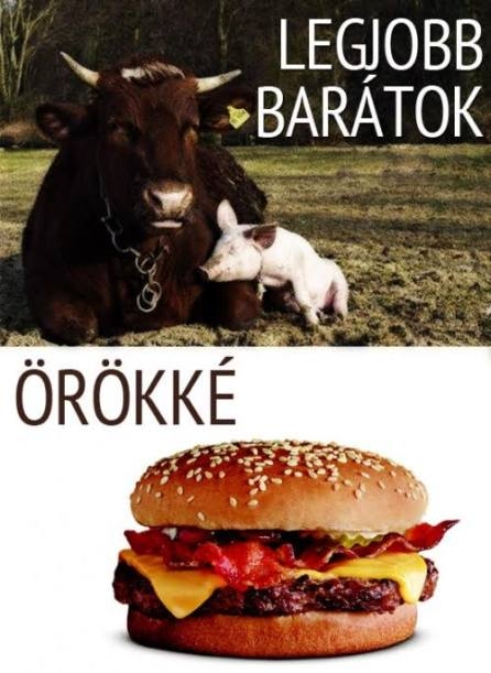 Barátok...