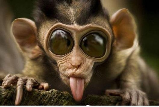 Szemesnek áll a világ