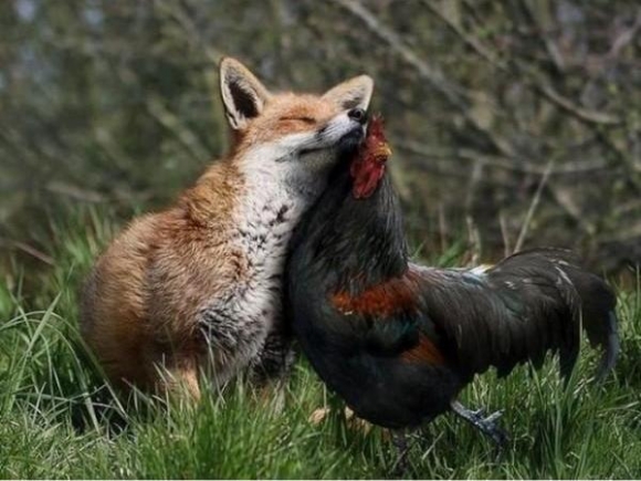 Szerelem első látásra