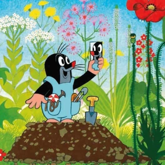 Őt még csak most érte el a szelfi láz