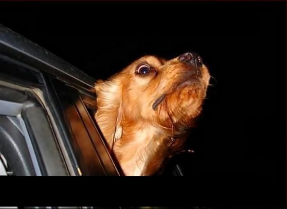 Amikor egy 2 órás autóútnál...