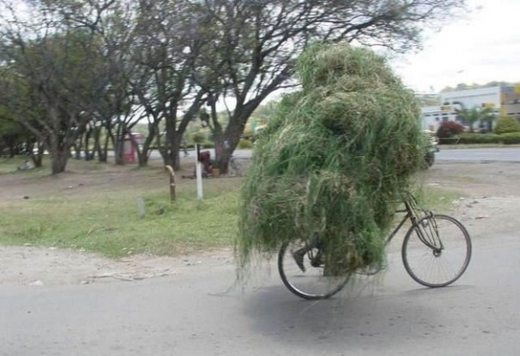 Balázs Pali bringázik