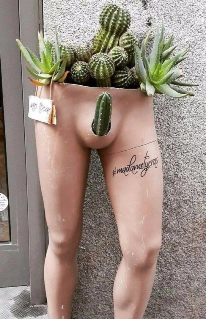 Tavaszi kaktuszvásár...