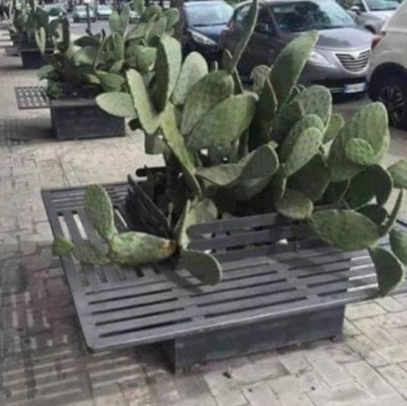 Kedves kis megoldás