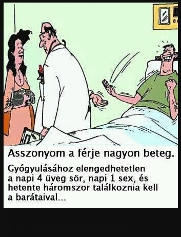 Amikor a doki a haverod