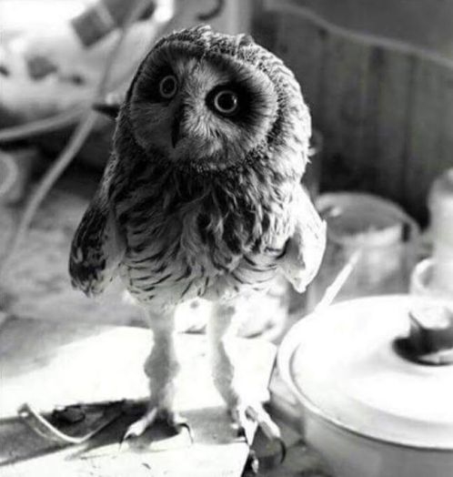 Amikor megkéred a haverodat, hogy...