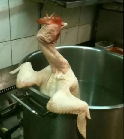 Ha úgy érzed, már nincs kiút, akkor...