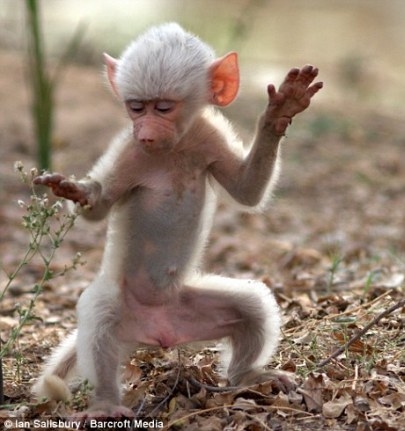 Amikor végre megértesz valamit matekból...