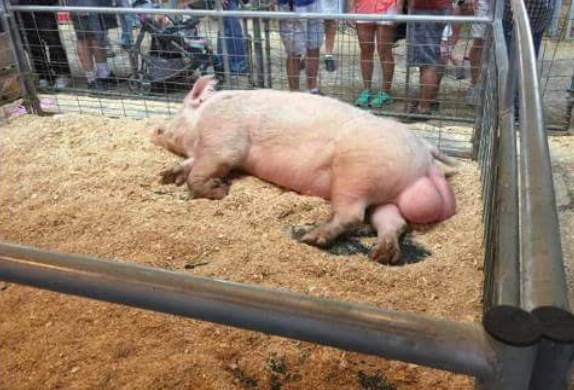 Amikor két terved volt szombat estére, 