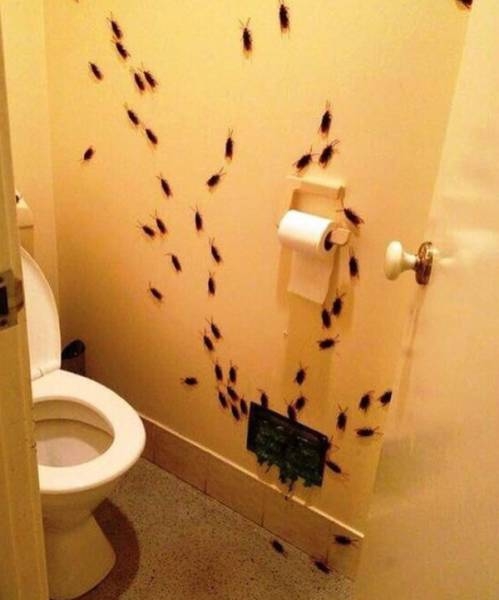 Induljon jól a reggel