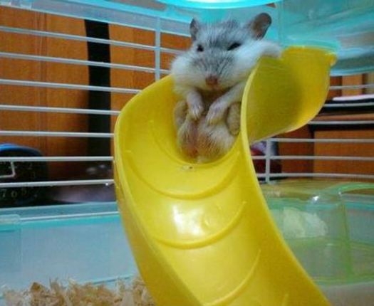 B@ssza meg, de kövér vagyok 🙁