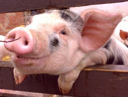 Rájöttem valamire...