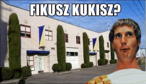 Lomaiak