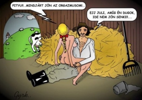 Az istálóban is zajlik az élet