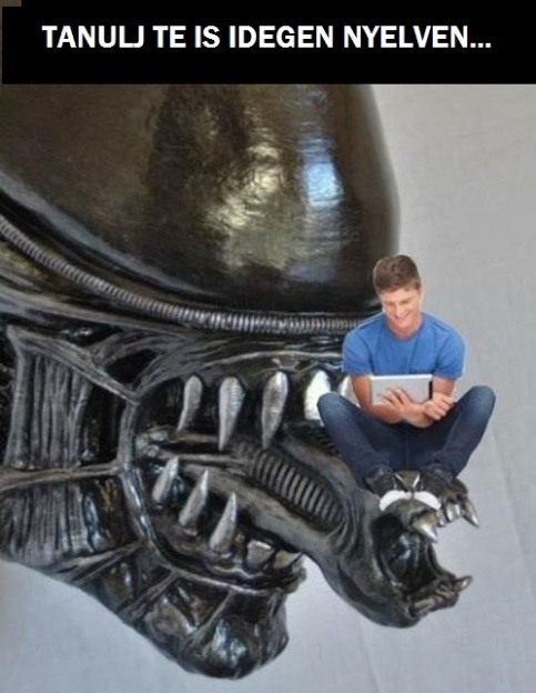 Csütörtöki pihentető