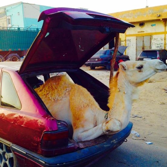 Ma Mauritániában látták a szállítót