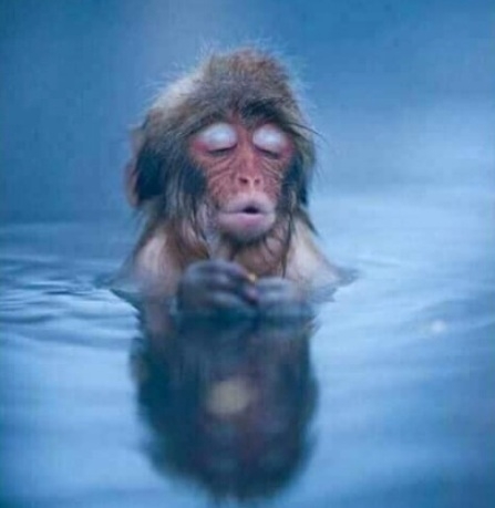 Amikor a reggeli első korty kávé, megérinti a lelkedet