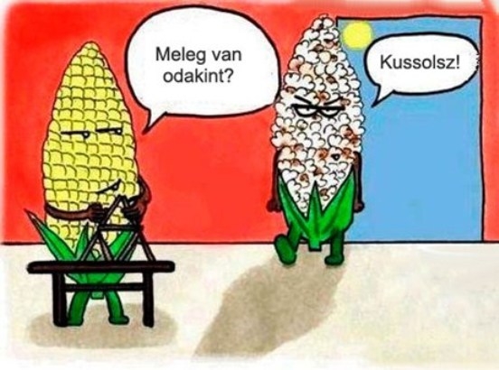 Ma még igen 🙂