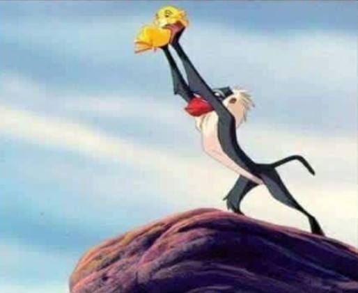 Ma reggel úgy jártam, mint Szimba...