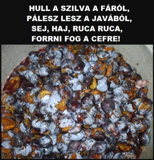 Az ismert gyerekdal, felnőtt változata