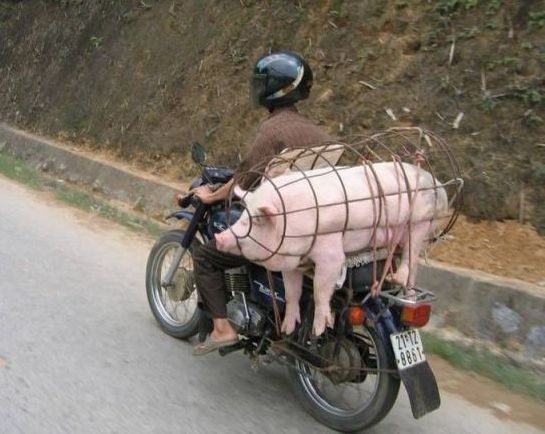 Egyszemélyes húsipari beszállító