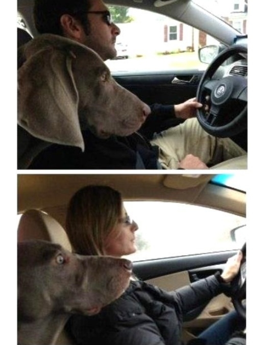 A nejem szerint, ő jobb sofőr, mint én!