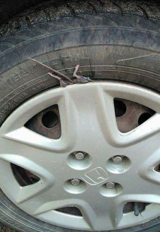 Lendületes hét kezdés 😮