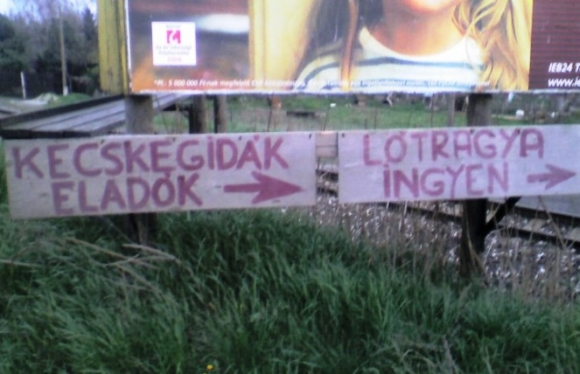 Egy ingyenes ajánlat