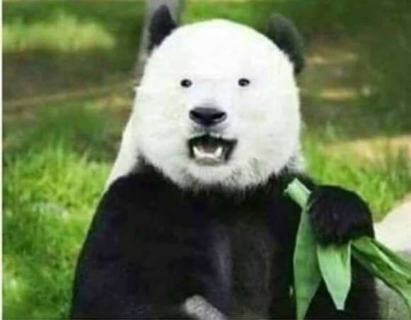 Amikor egy szemüveges osztálytársad...