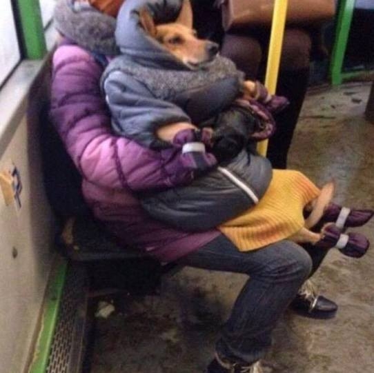 Amikor még csak október eleje van, de...