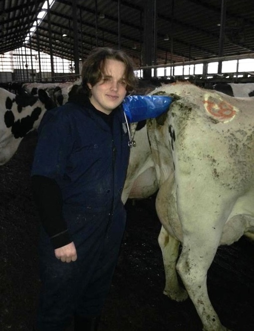 Ha panaszkodnál, hogy sz@r a melód...