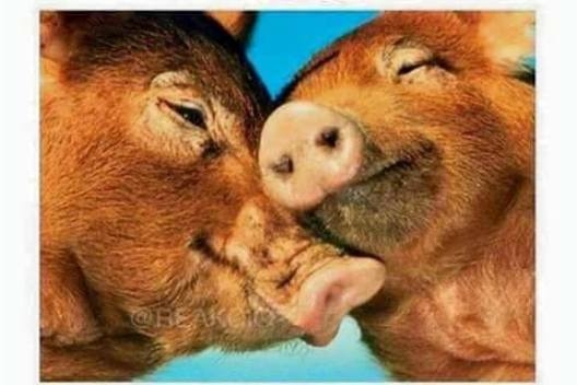 Amikor mindketten felszedtetek jó pár kilót,