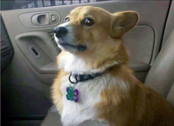 Amikor a csajod tolatásnál hátranéz,