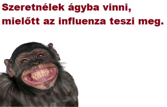 Őszinte leszek veled...