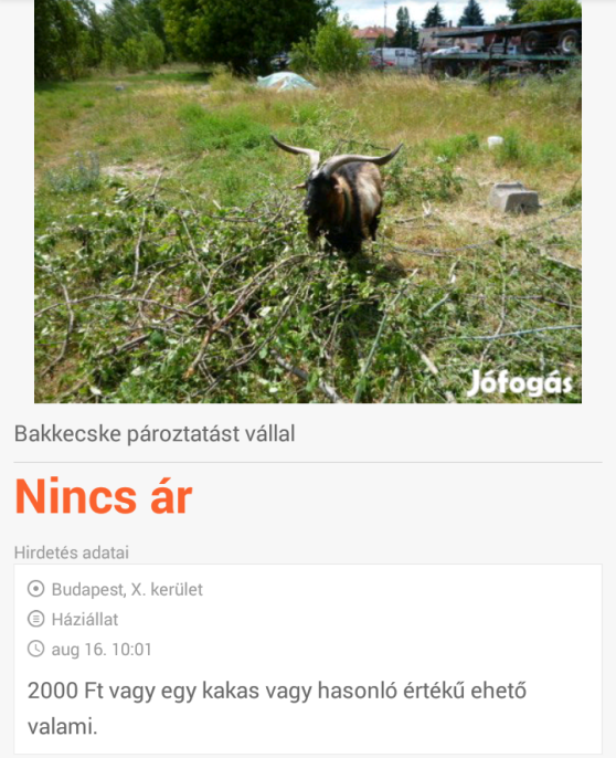 Egy újabb remek ajánlat