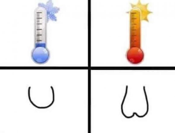 A pasik egyből fogják érteni