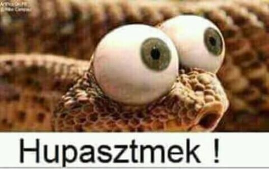 Folytatódik a drágulás...