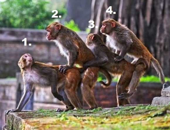 Van az a sor, amelyiknek jobb a végén lenni