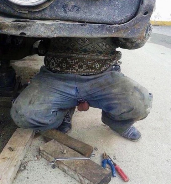 Döglött madárnak, nem kell kalitka