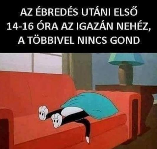 Keresek valakit, aki elmenne helyettem melózni