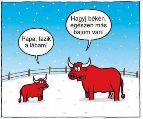 Egyre több helyen havazott ma...