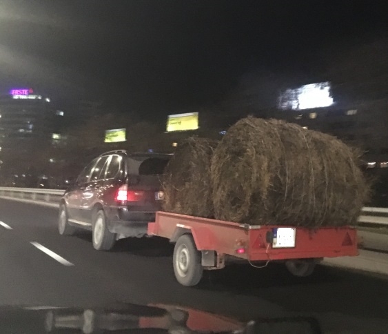 Ha fuvar van, este is menni kell