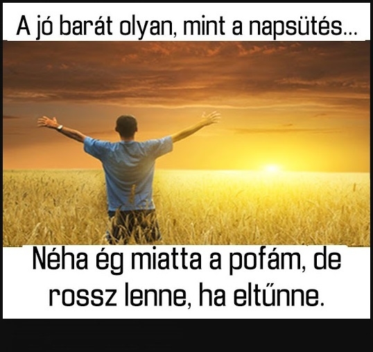 Napi tényfeltáró