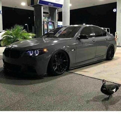 Apám meglepett a szülinapomra...